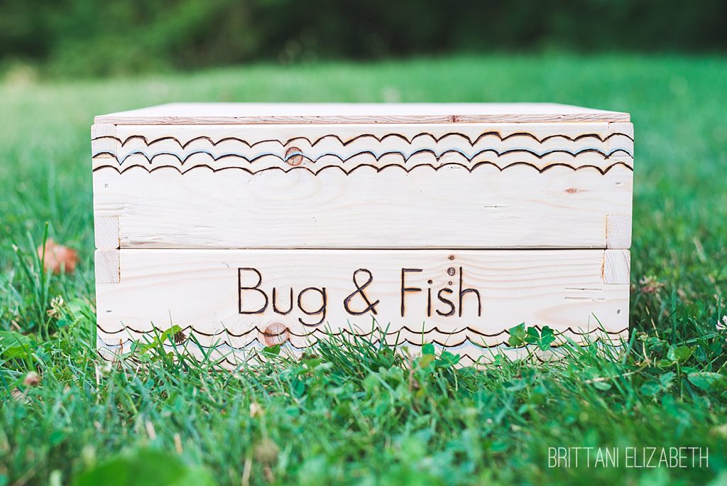 Bug-Fish-Box_01_WEB