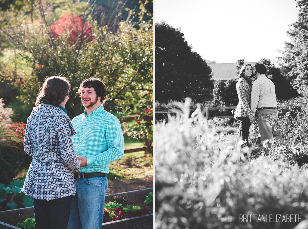 Beech-Springs-Farm-Engagement-014