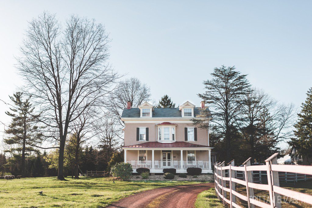 Ash-Mill-Farm-Engagement-0006