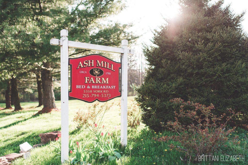 Ash-Mill-Farm-Engagement-0013