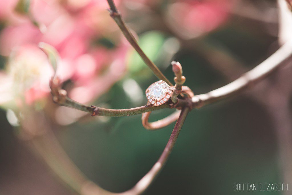 Hershey-Gardens-Spring-Engagement-0013