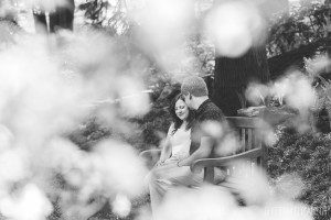 engaged couple sitting on bench hershey gardens engagement