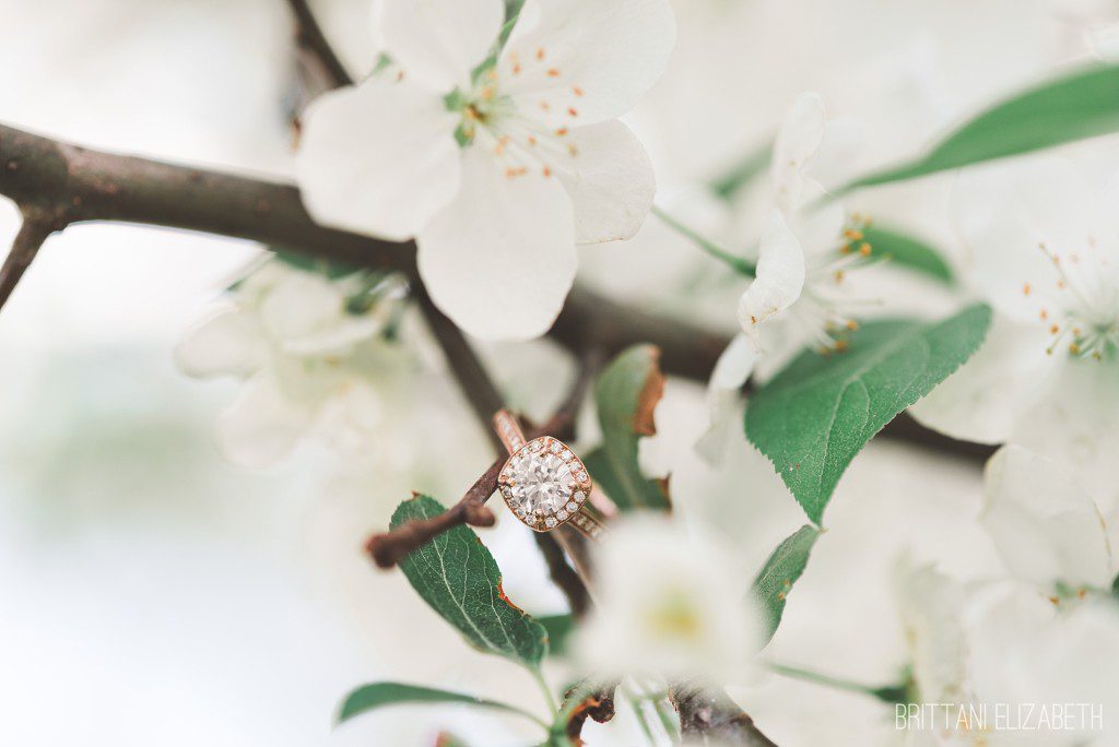 Hershey-Gardens-Spring-Engagement-0016