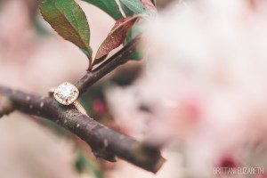 square halo rose gold engagement ring on tree branch