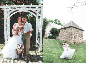 bride and groom with dogs dog of honor wedding pet idea