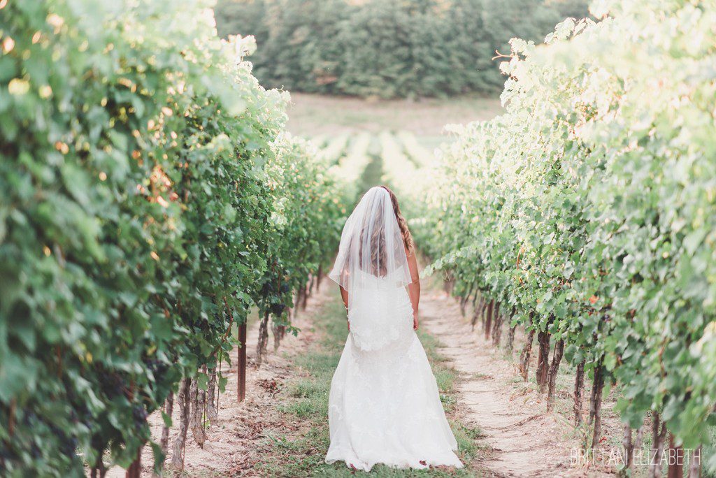hauser-estate-winery-wedding-gettysburg-0010