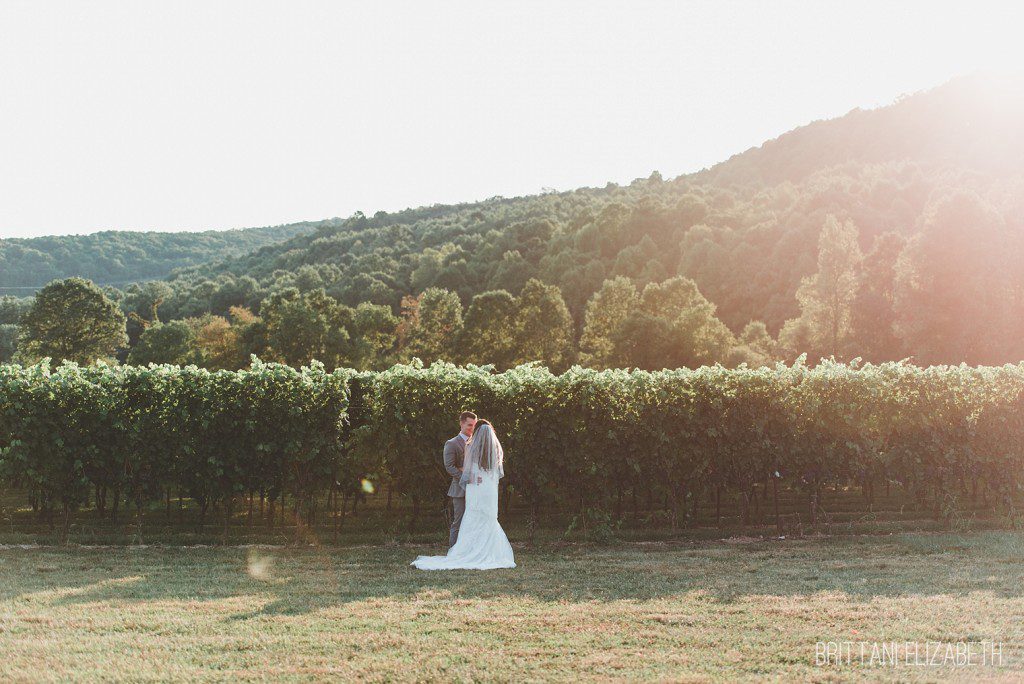 hauser-estate-winery-wedding-gettysburg-0045