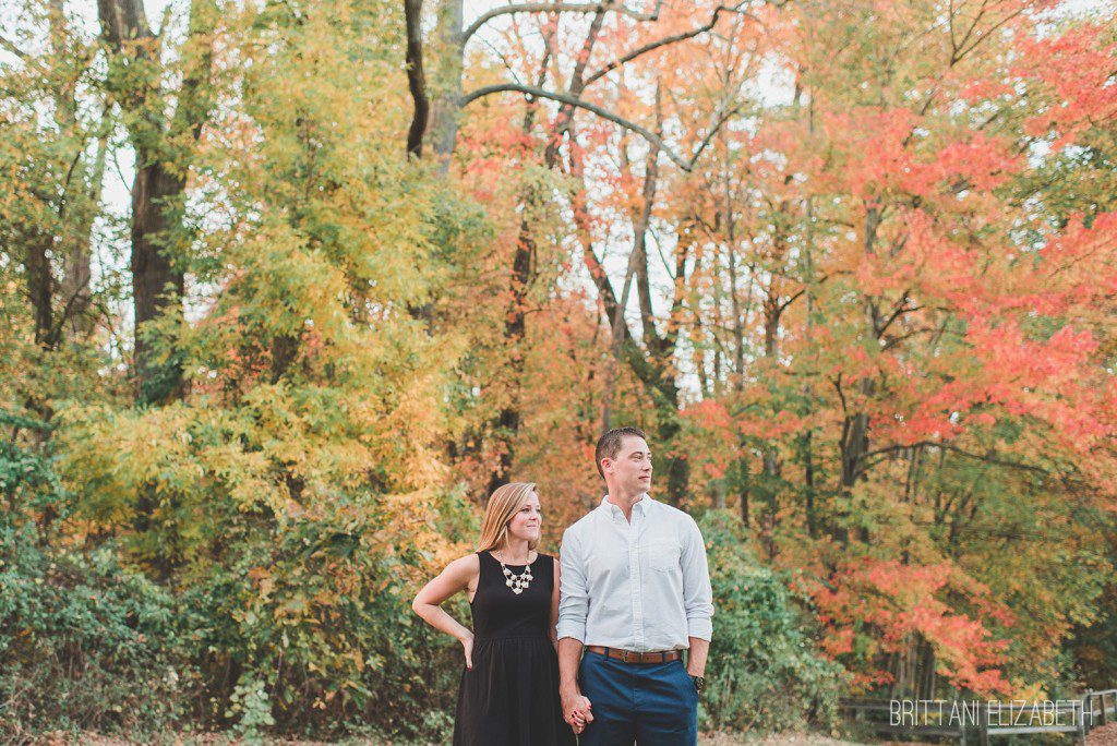 Fall colored trees for an engagement at Springton Manor Farm