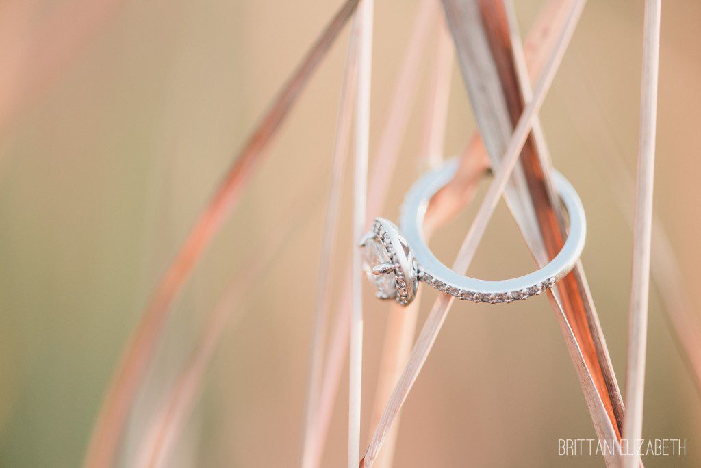 Engagement Ring at Springton Manor Farm