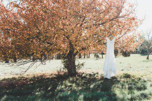 fall foliage tree white lace wedding gown hanging from tree