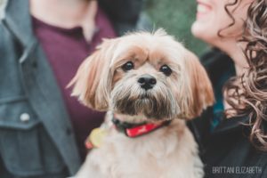 engaged couple with dog