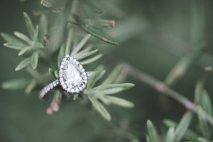 tear drop halo engagement ring on branch close up