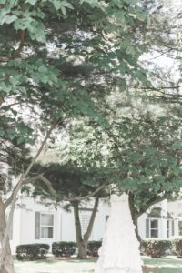 white ruffled wedding dress hanging on tree